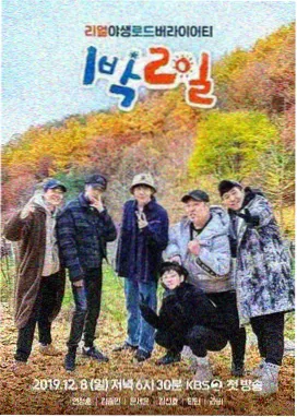棚拍综艺标本抽屉中的期次对比卡